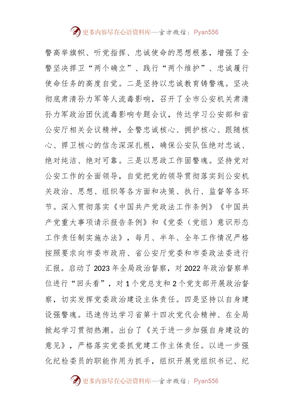 公安机关政治工作总结.docx_第2页