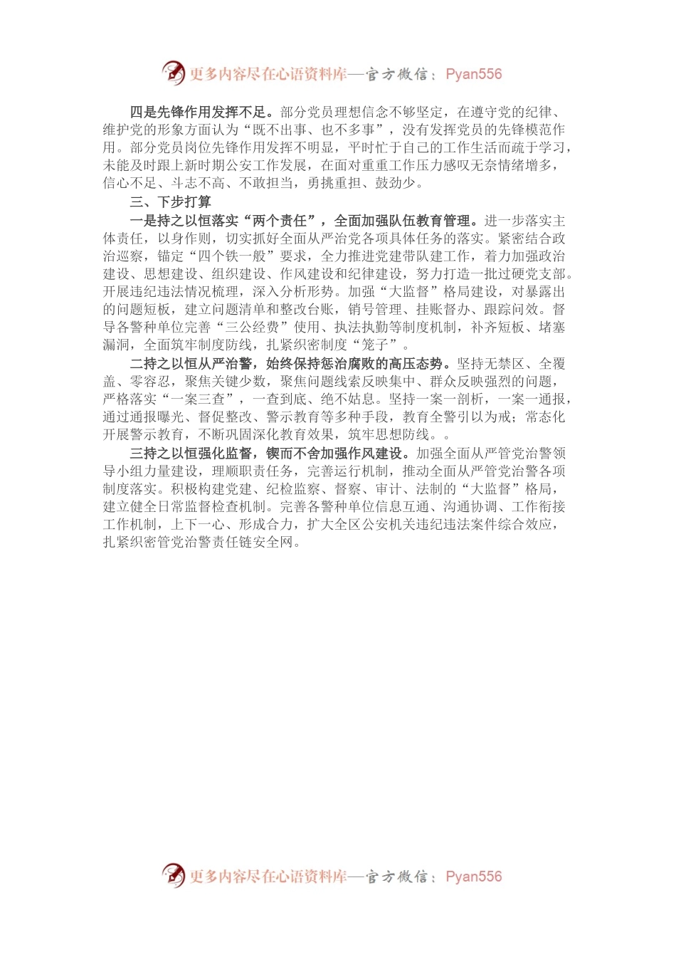 公安局2022年度履行全面从严治党责任述职报告.docx_第2页
