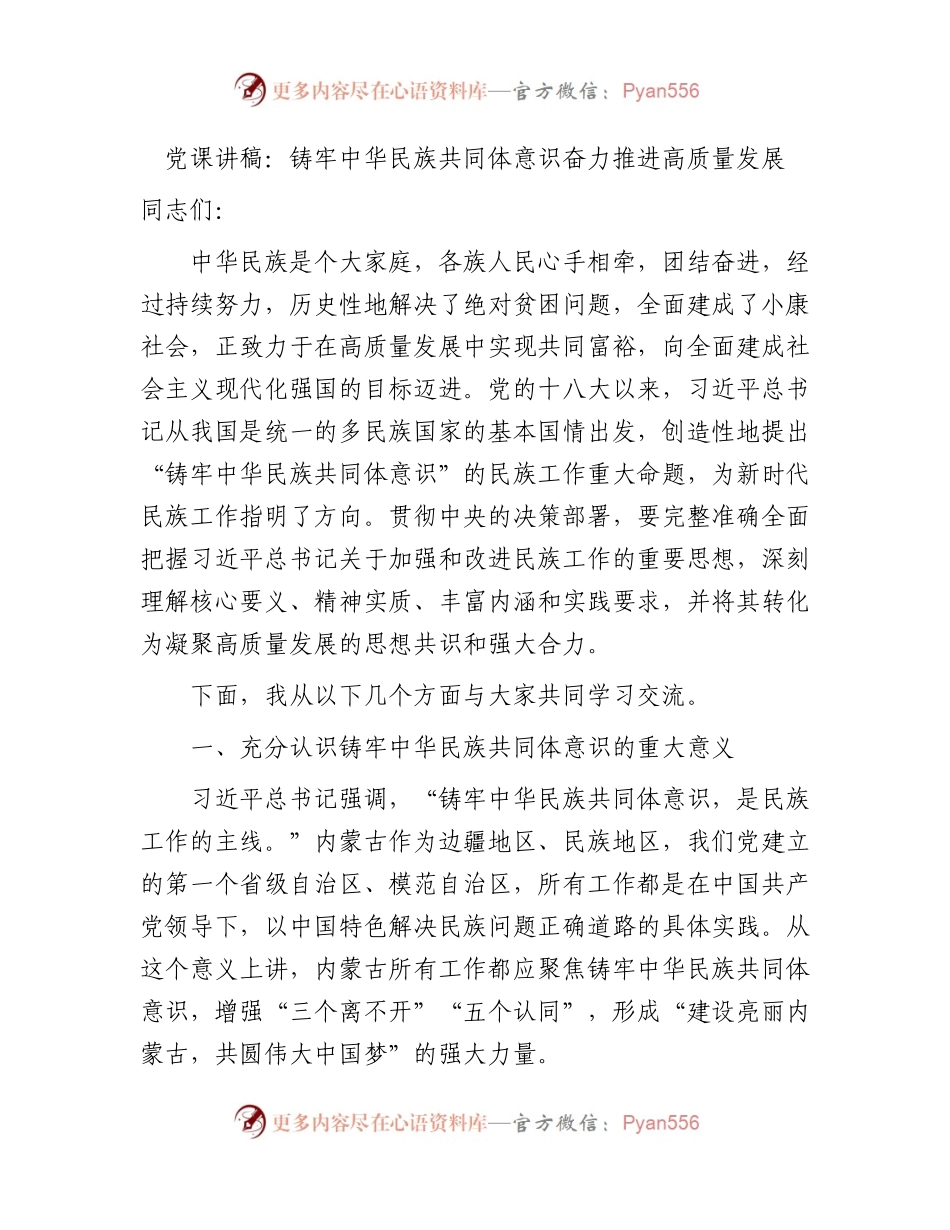 党课：铸牢中华民族共同体意识 奋力推进高质量发展.docx_第1页