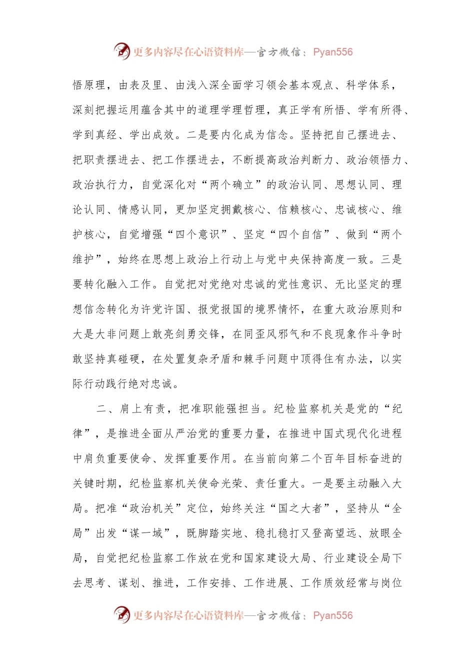 党课：努力提升纪检监察工作规范化法治化正规化水平.docx_第2页