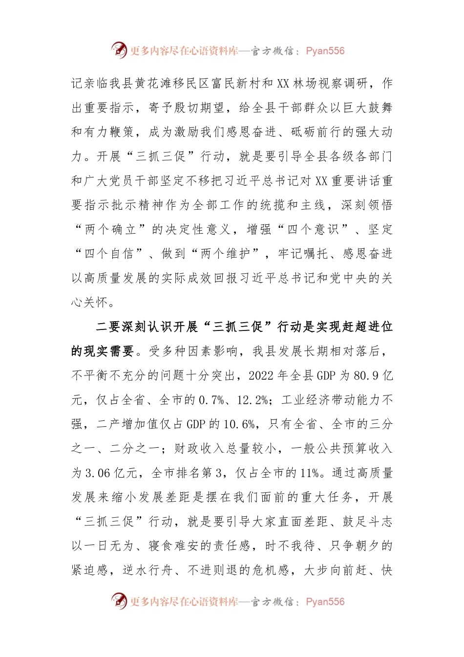 全县“三抓三促”行动动员部署会议精神.docx_第2页
