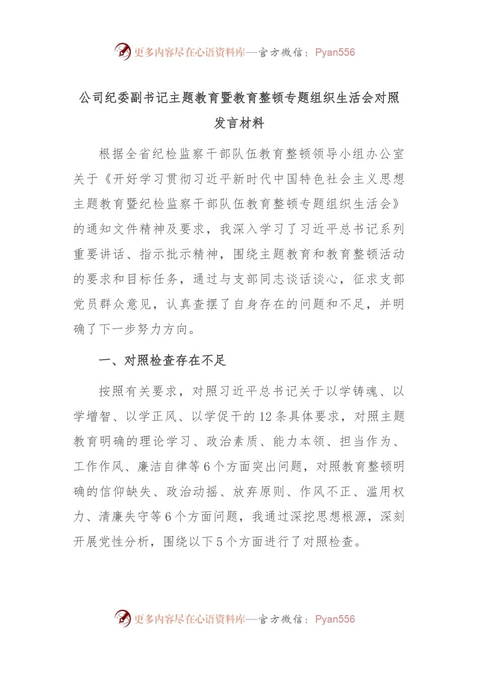 公司纪委副书记主题教育暨教育整顿专题组织生活会对照发言稿材料.docx_第1页