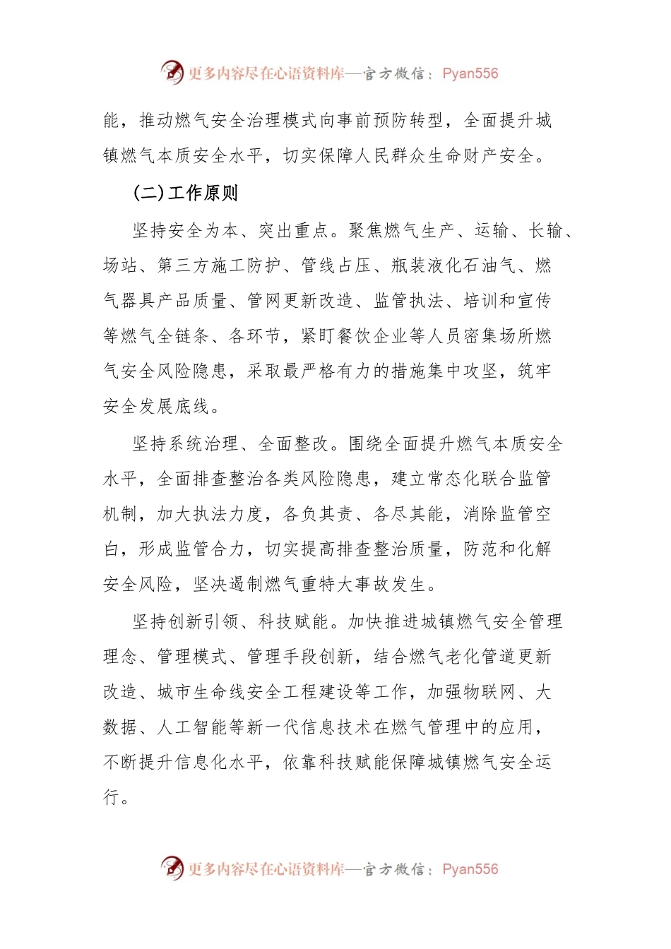 全市城镇燃气安全专项整治实施方案.docx_第2页