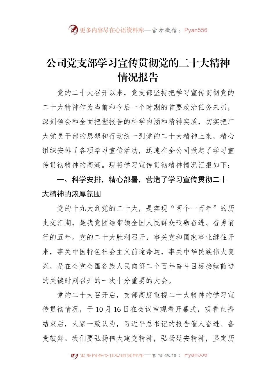 公司党支部学习宣传贯彻党的二十大精神情况报告.docx_第1页