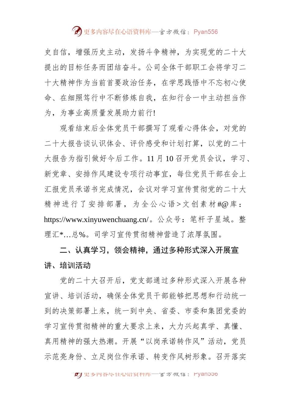 公司党支部学习宣传贯彻党的二十大精神情况报告.docx_第2页