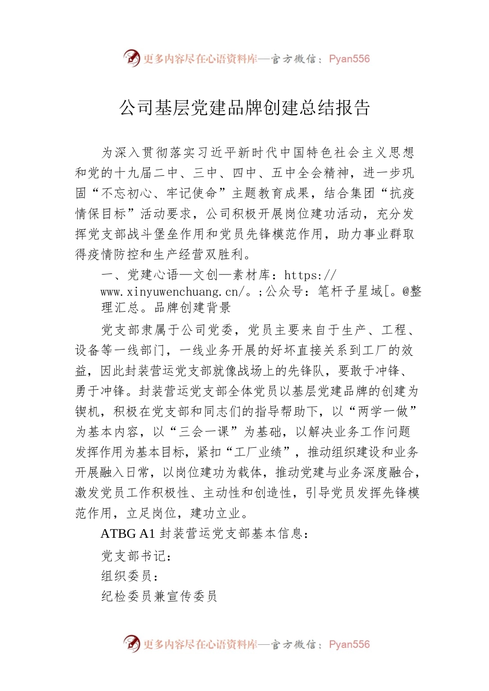 公司基层党建品牌创建总结报告.docx_第1页