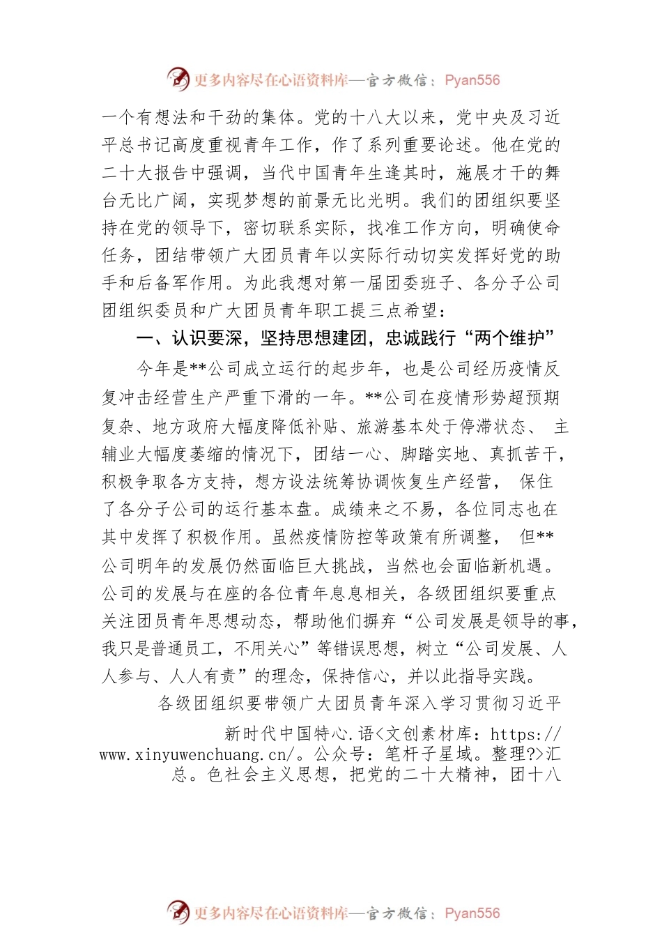 公司共青团2023年第一次代表大会领导讲话稿.docx_第2页