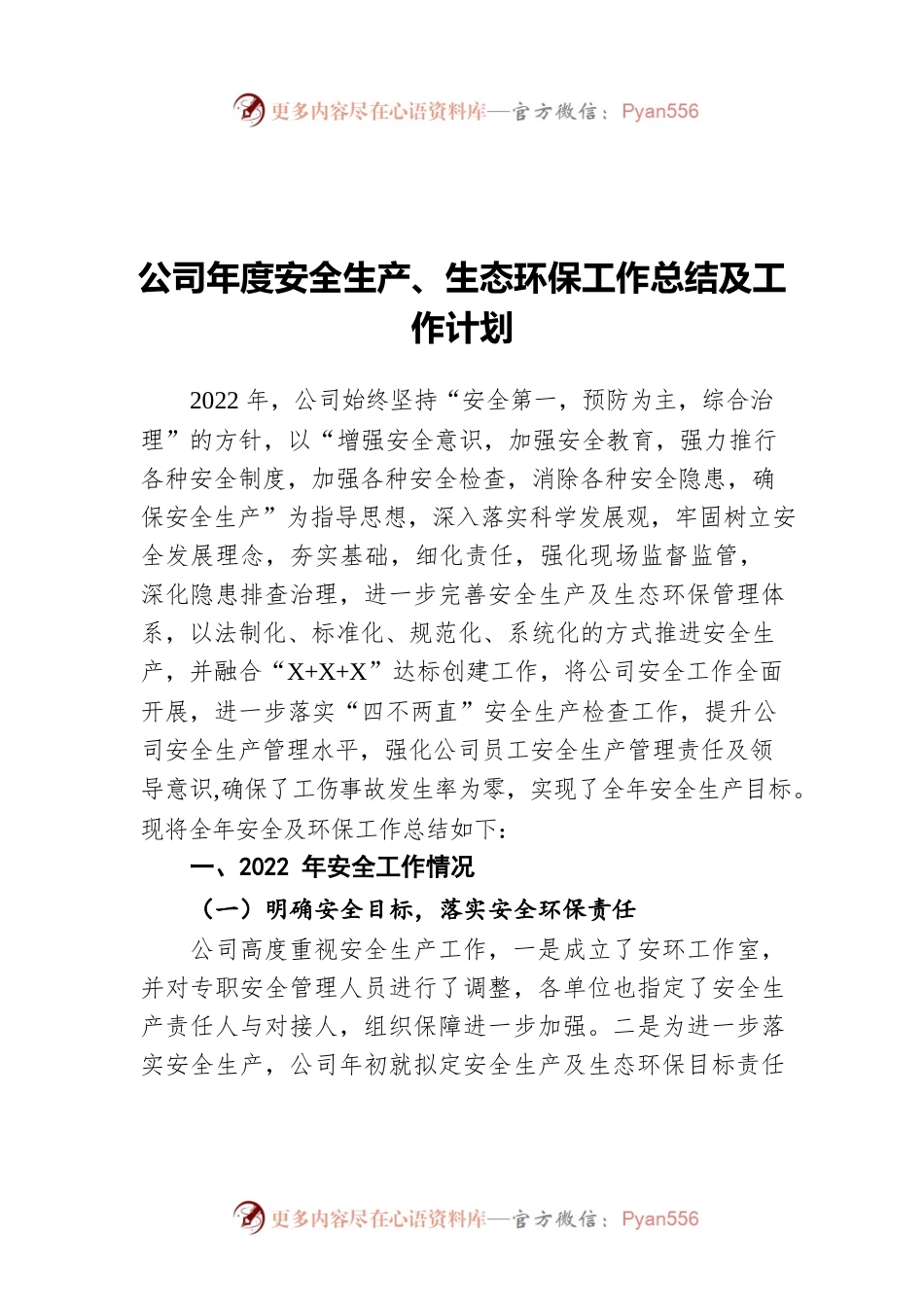 公司年度安全生产、生态环保工作总结及工作计划.docx_第1页