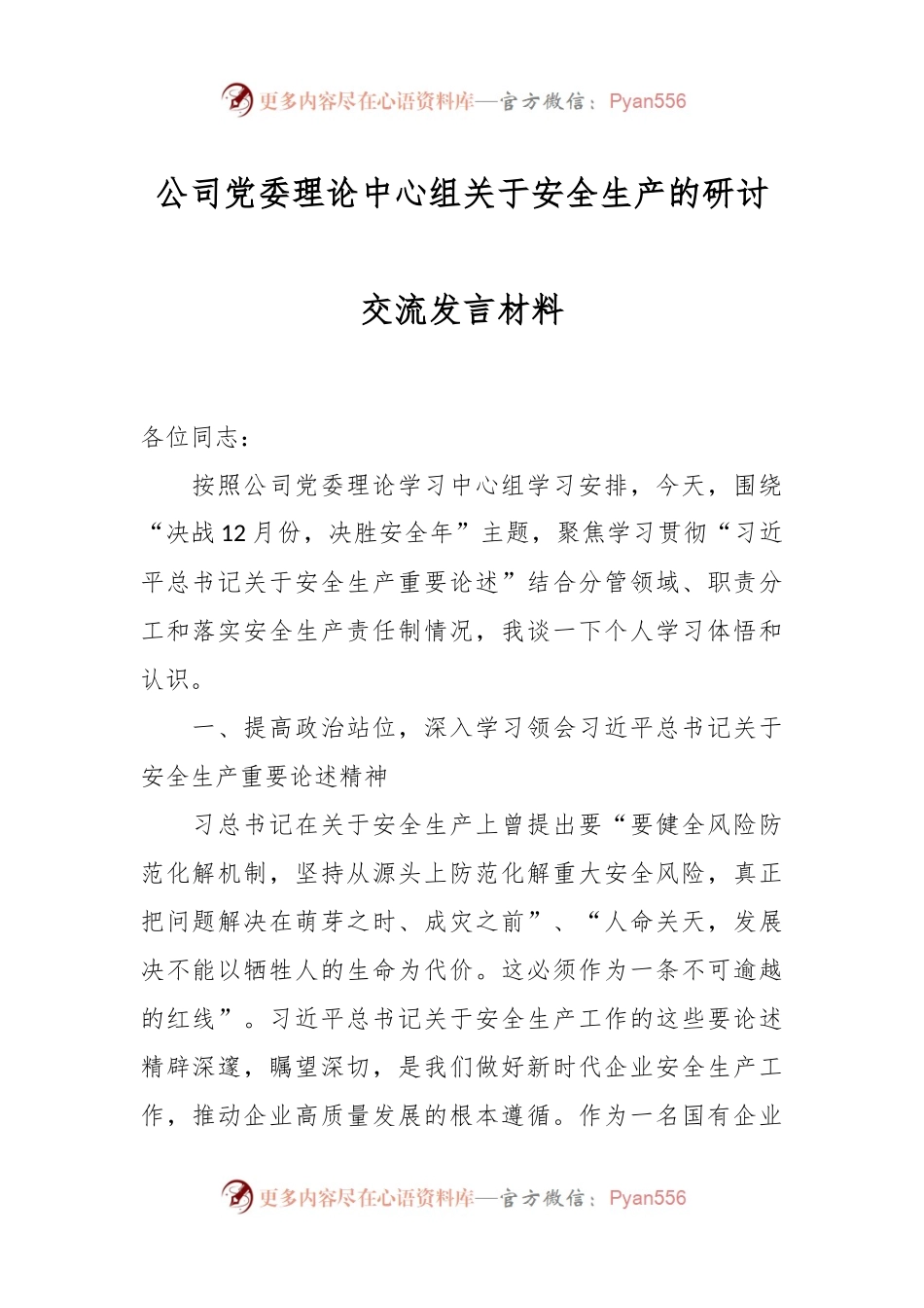 公司党委理论中心组关于安全生产的研讨交流发言稿材料.docx_第1页