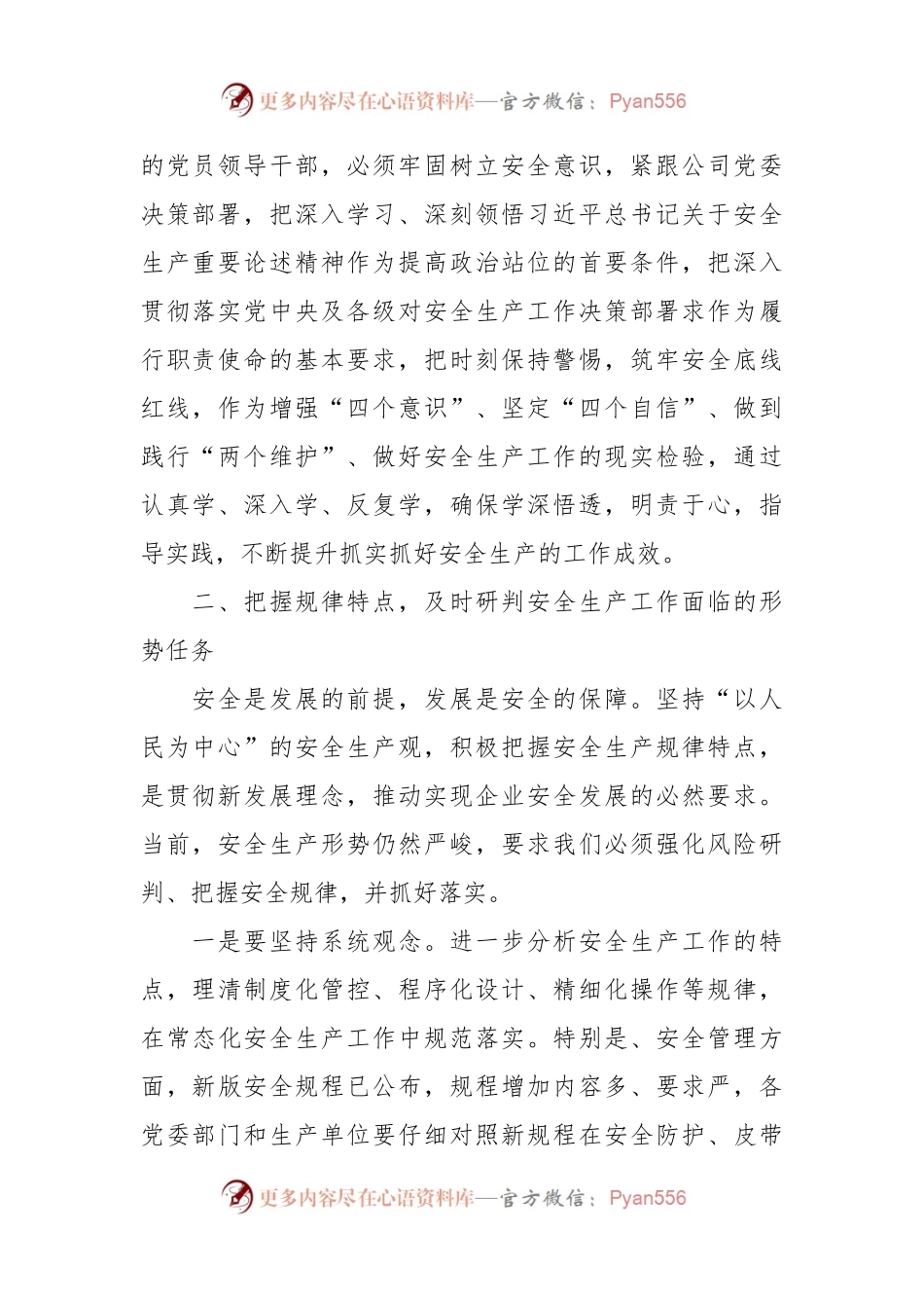 公司党委理论中心组关于安全生产的研讨交流发言稿材料.docx_第2页