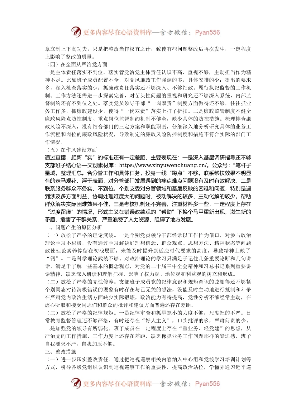 党支部巡视巡察工作民主生活会对照检查材料.docx_第2页