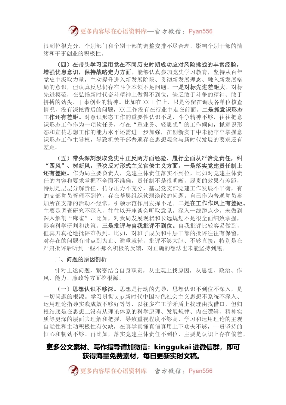 党史学习教育专题民主生活会对照检查材料(市直局长）.docx_第2页
