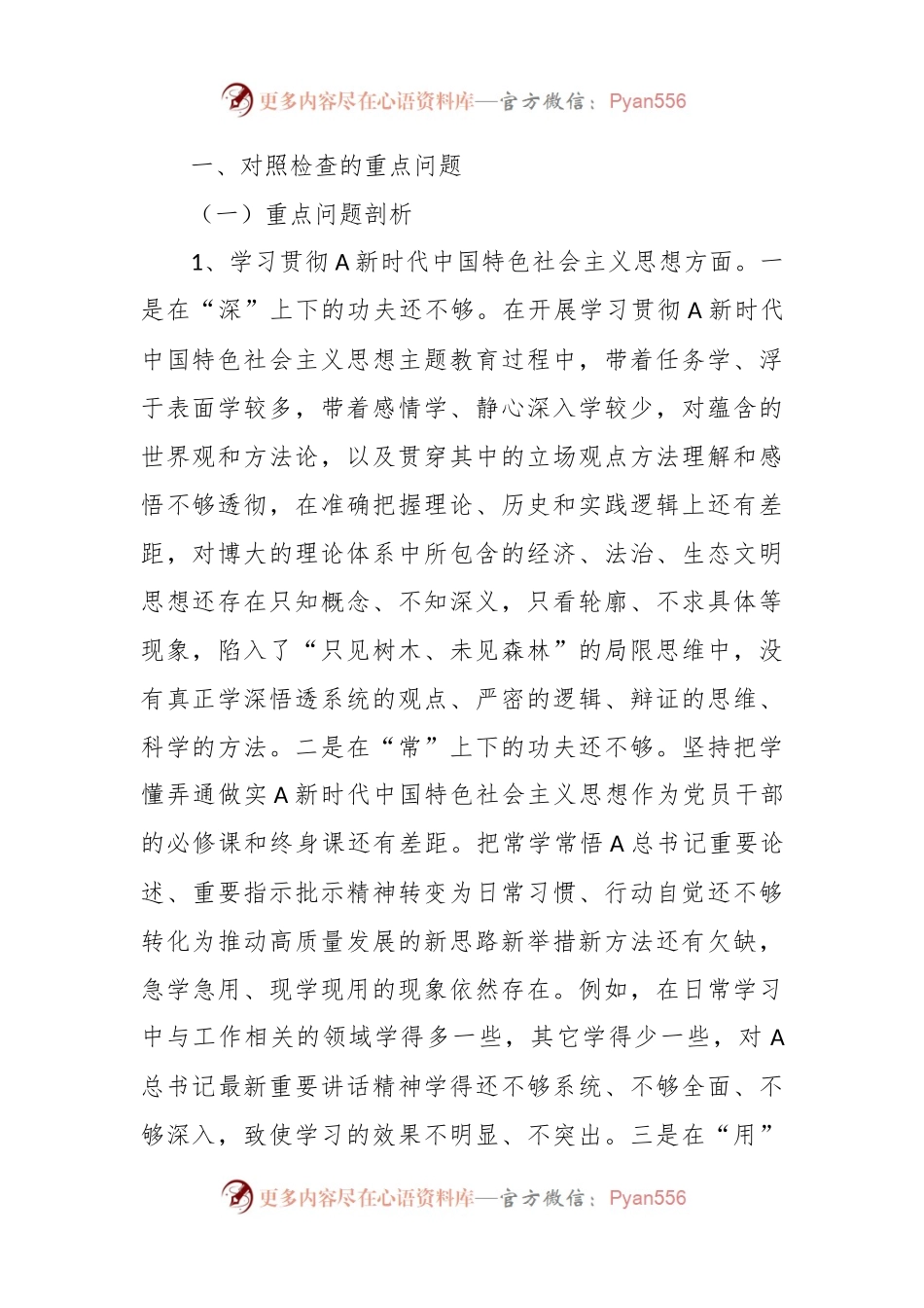 公司主题教育专题民主生活会个人对照检查.docx_第2页