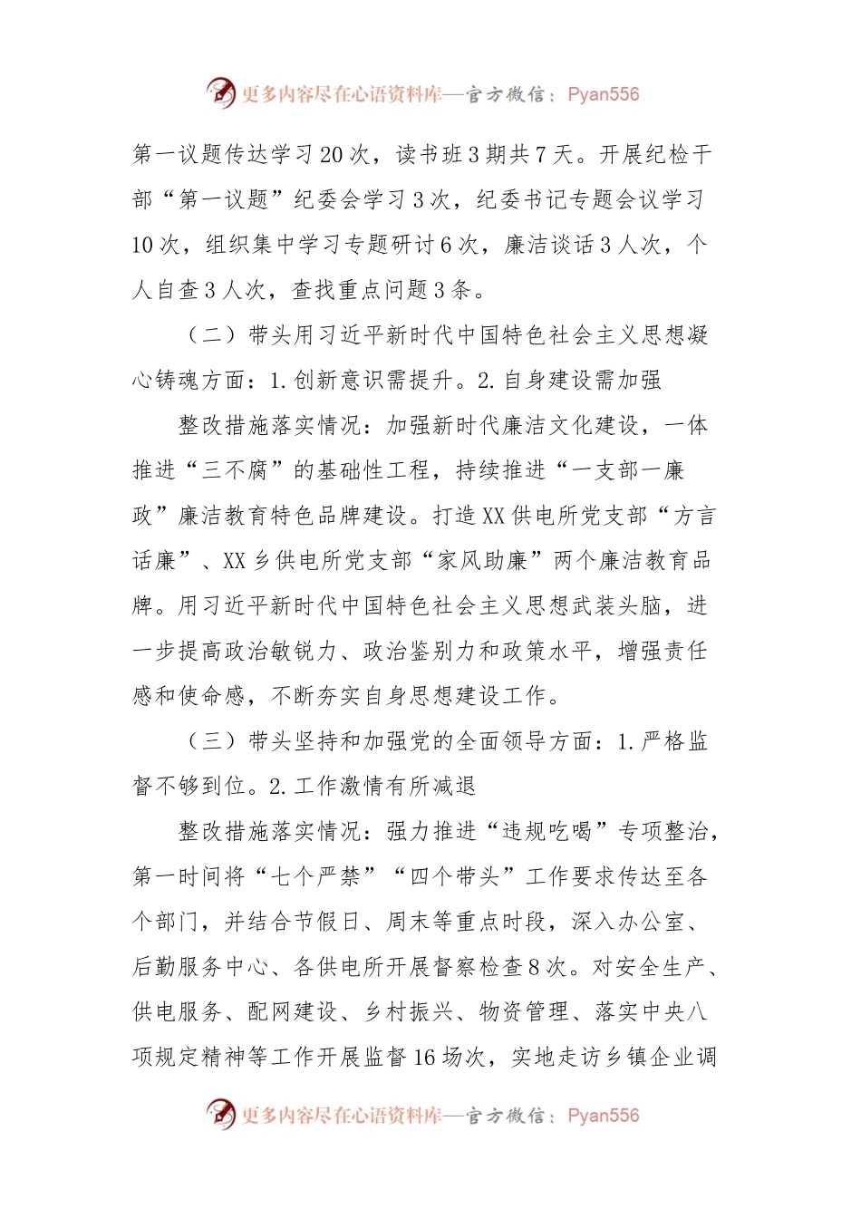 供电公司纪委书记2023年主题教育专题民主生活会个人发言稿提纲.docx_第2页