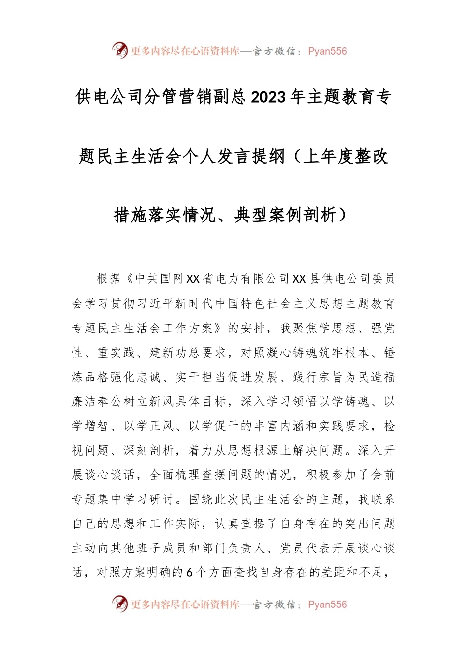供电公司分管营销副总2023年主题教育专题民主生活会个人发言稿提纲（上年度整改措施落实情况、典型案例剖析）.docx_第1页