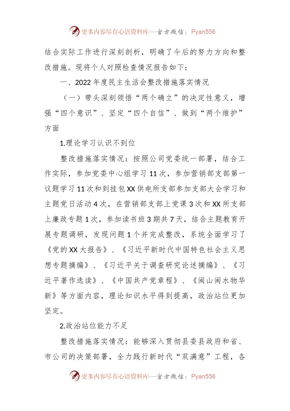 供电公司分管营销副总2023年主题教育专题民主生活会个人发言稿提纲（上年度整改措施落实情况、典型案例剖析）.docx_第2页
