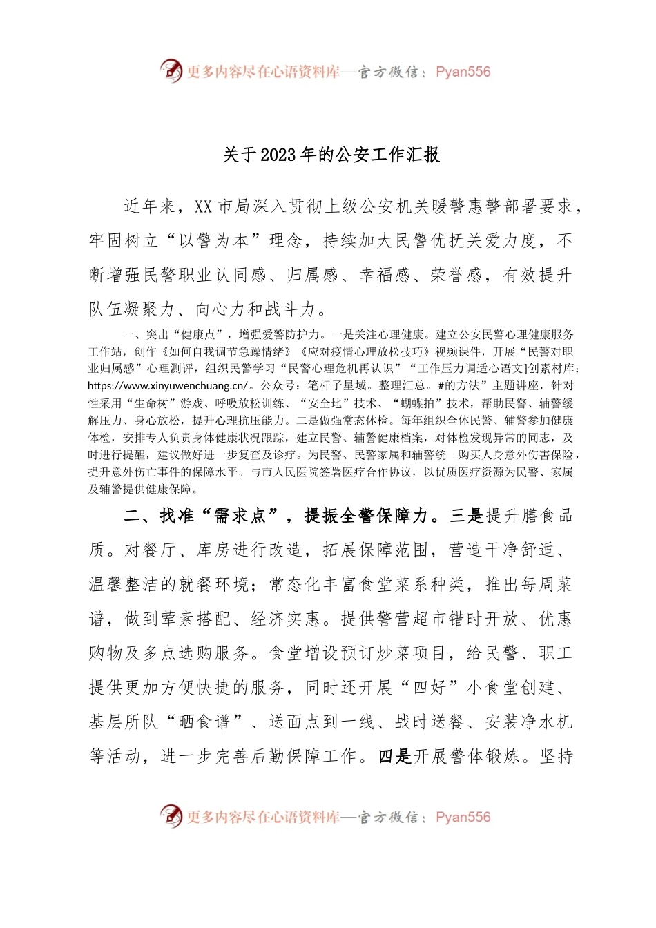 关于2023年的公安工作汇报.docx_第1页