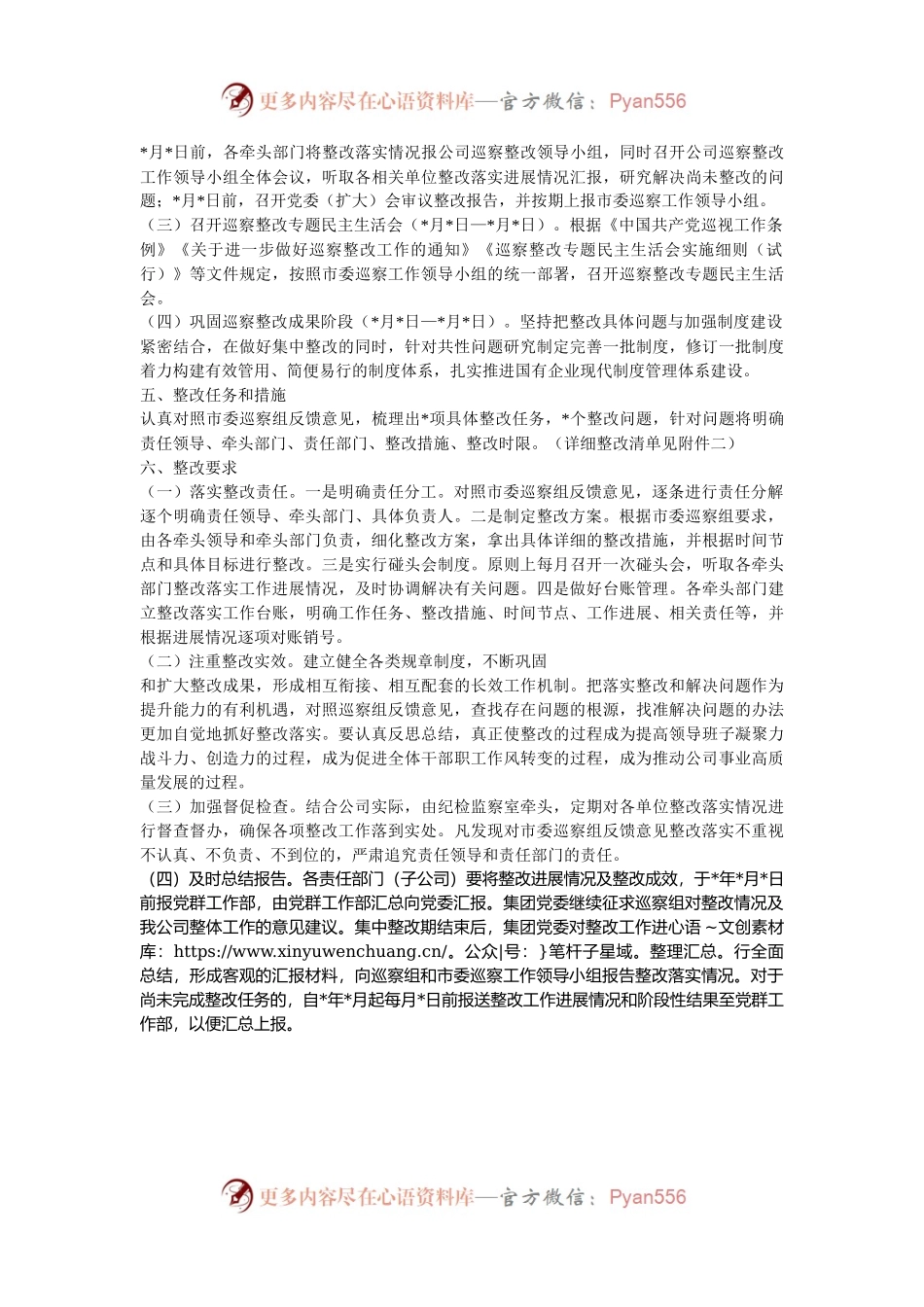 公司落实巡察反馈问题整改工作方案.docx_第2页