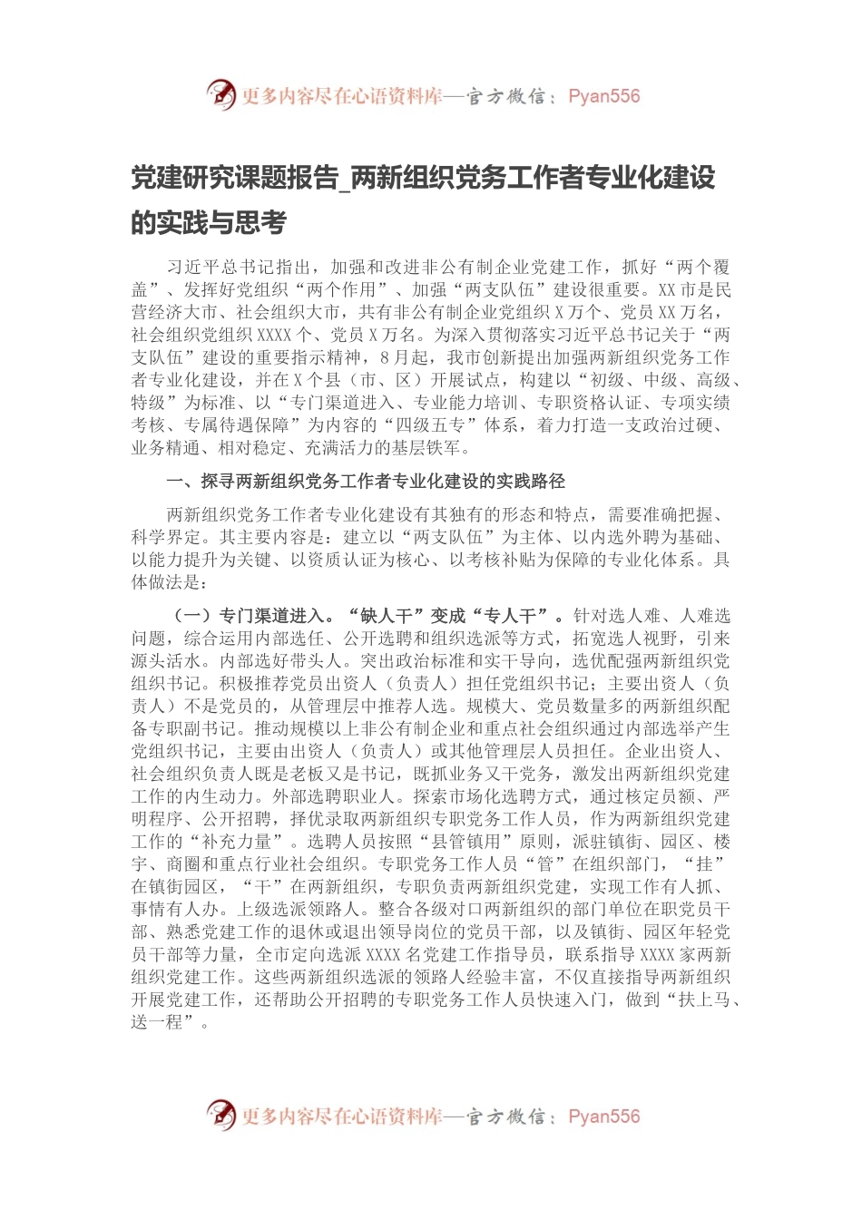 党建研究课题报告_两新组织党务工作者专业化建设的实践与思考.docx_第1页