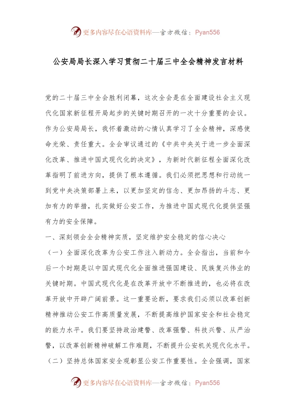 公安局局长深入学习贯彻二十届三中全会精神发言材料.docx_第1页