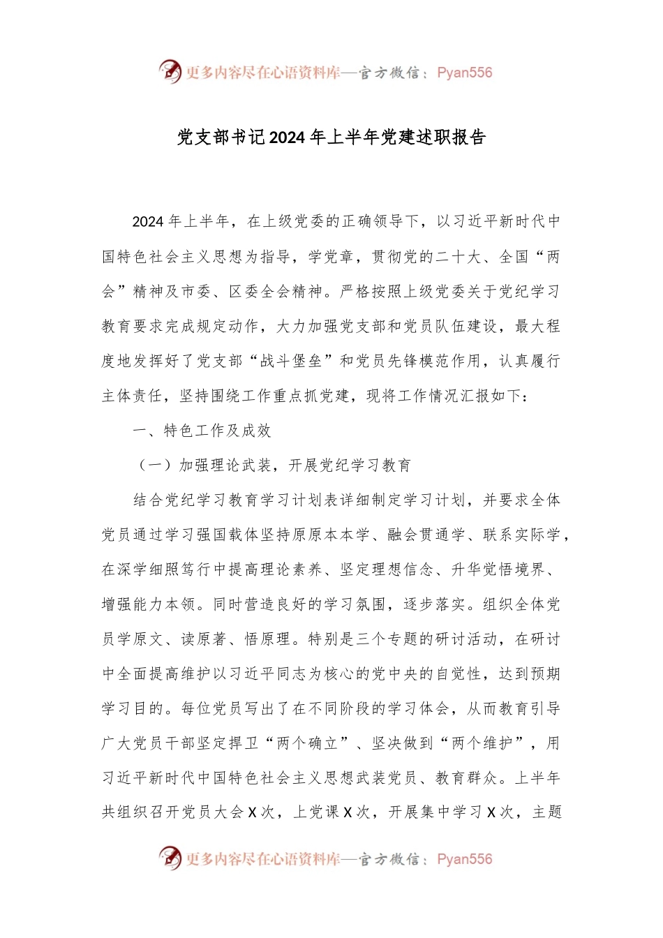 党支部书记2024年上半年党建述职报告.docx_第1页
