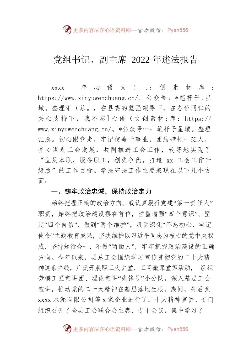 党组书记、副主席2022年述法报告.docx_第1页