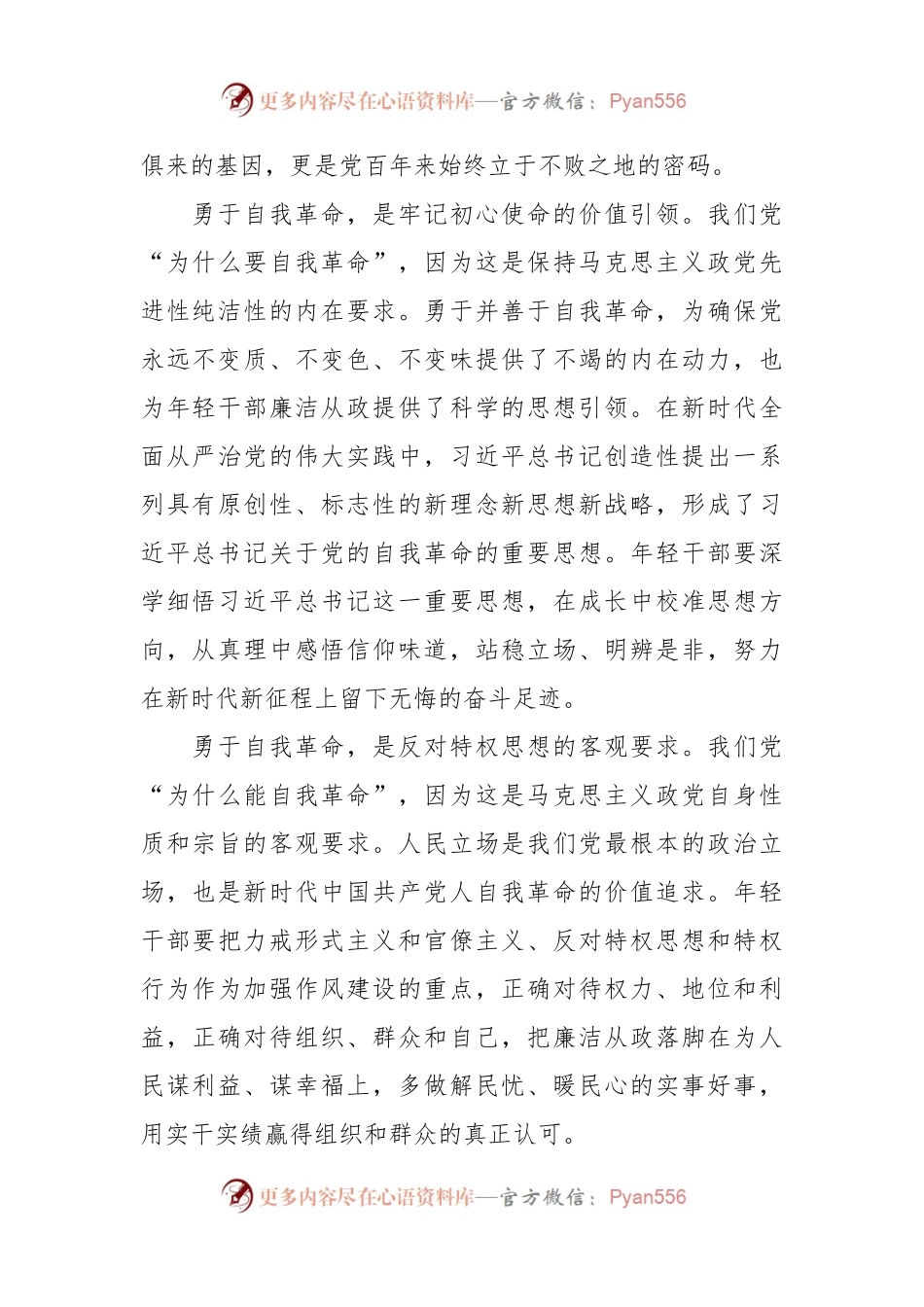 党课讲稿：青年干部要永葆清正廉洁的政治本色.docx_第2页