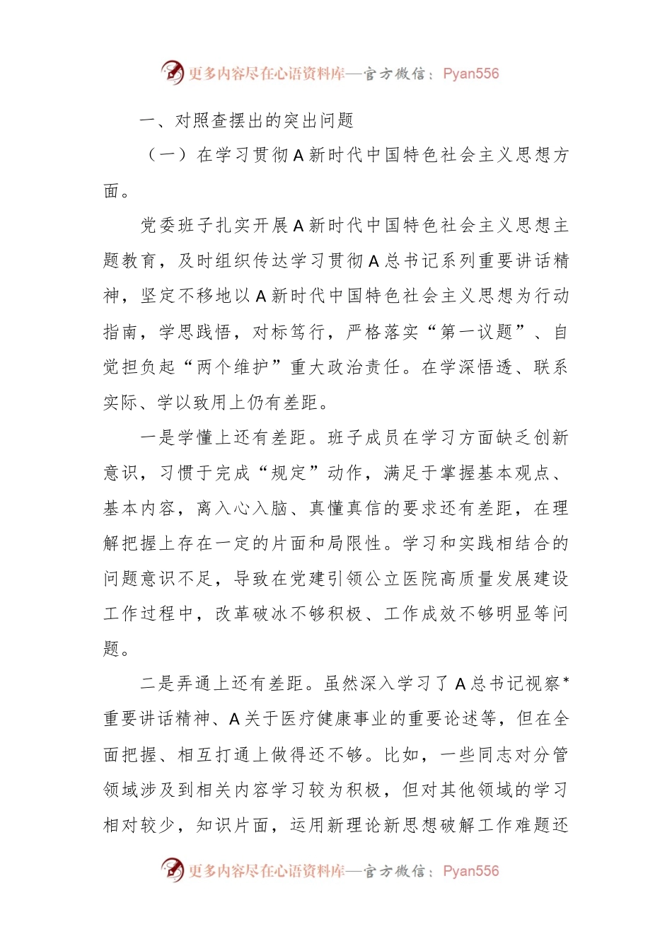 医院主题教育专题民主生活会班子对照检查（含案例剖析+上年度整改）.docx_第2页