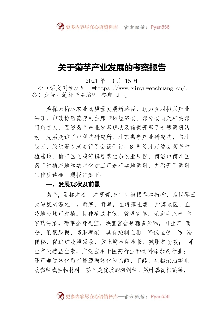 关于菊芋产业发展的考察报告（20211015）.docx_第1页