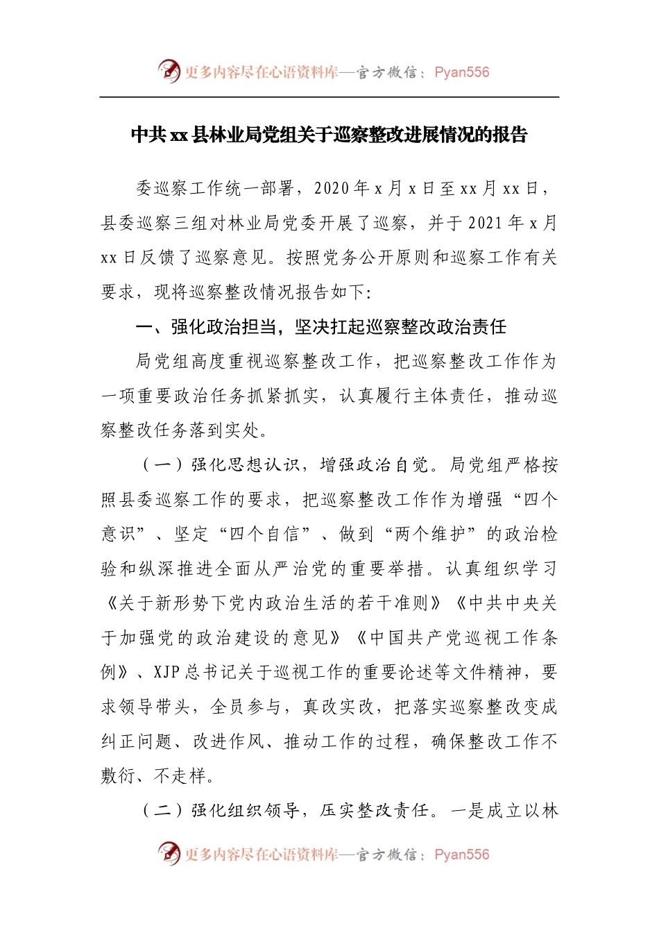 关于巡察整改进展情况的报告.docx_第1页