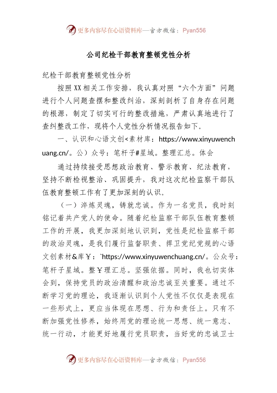 公司纪检干部教育整顿党性分析.docx_第1页