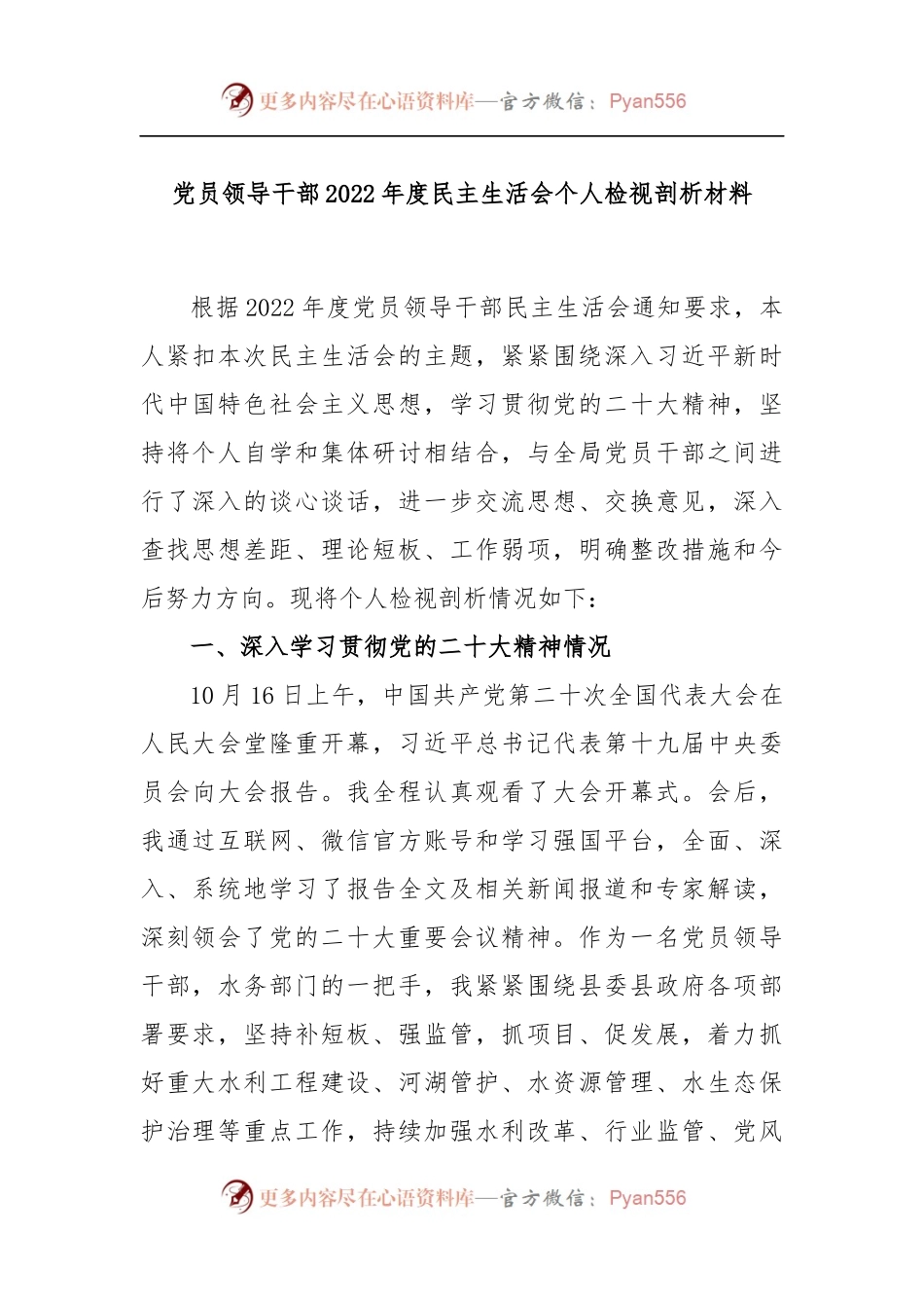 党员领导干部2022年度民主生活会个人检视剖析材料.docx_第1页