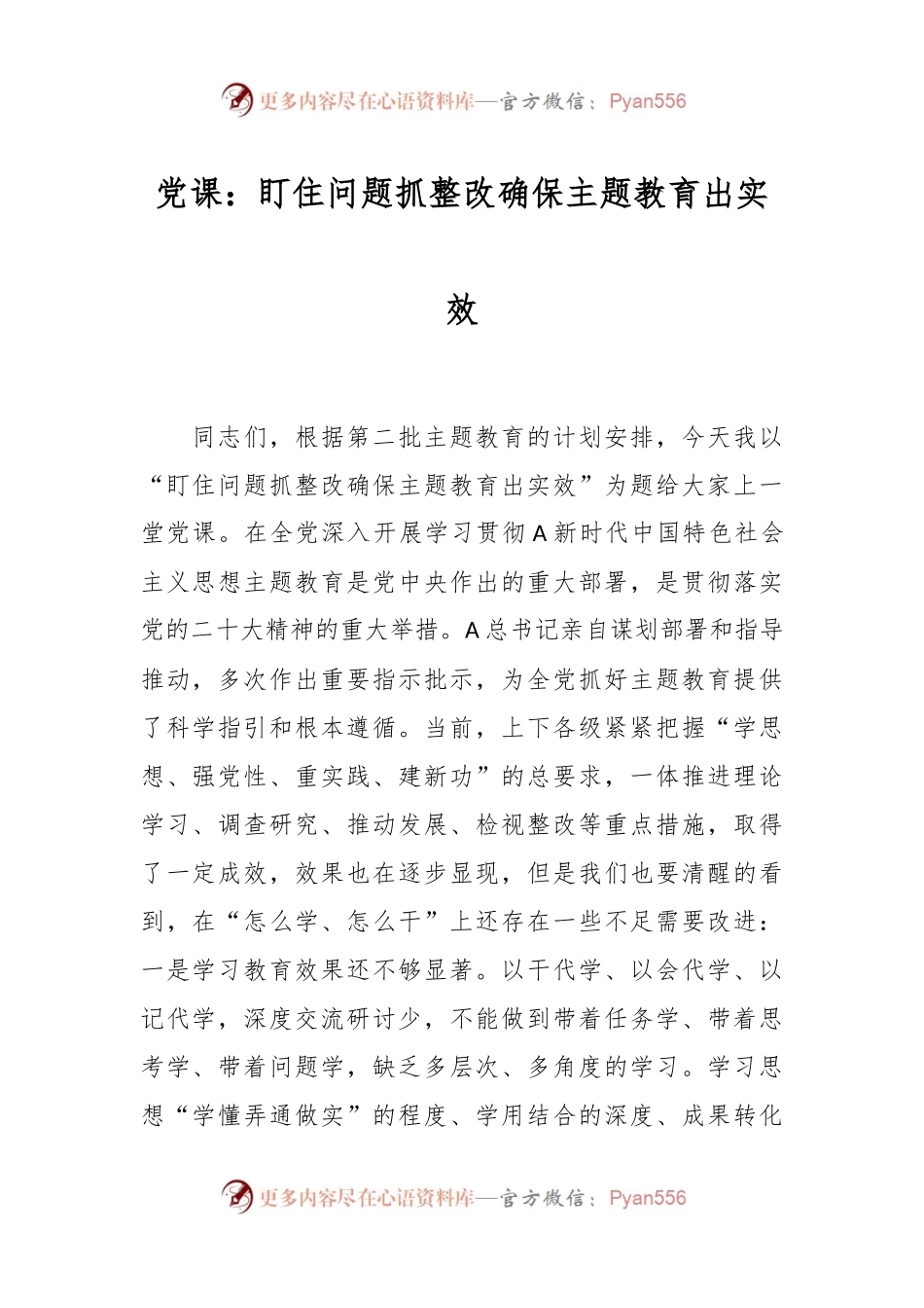 党课：盯住问题抓整改 确保主题教育出实效.docx_第1页
