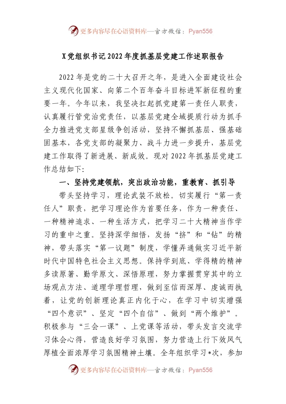 党组织书记2022年度抓基层党建工作述职报告.docx_第1页