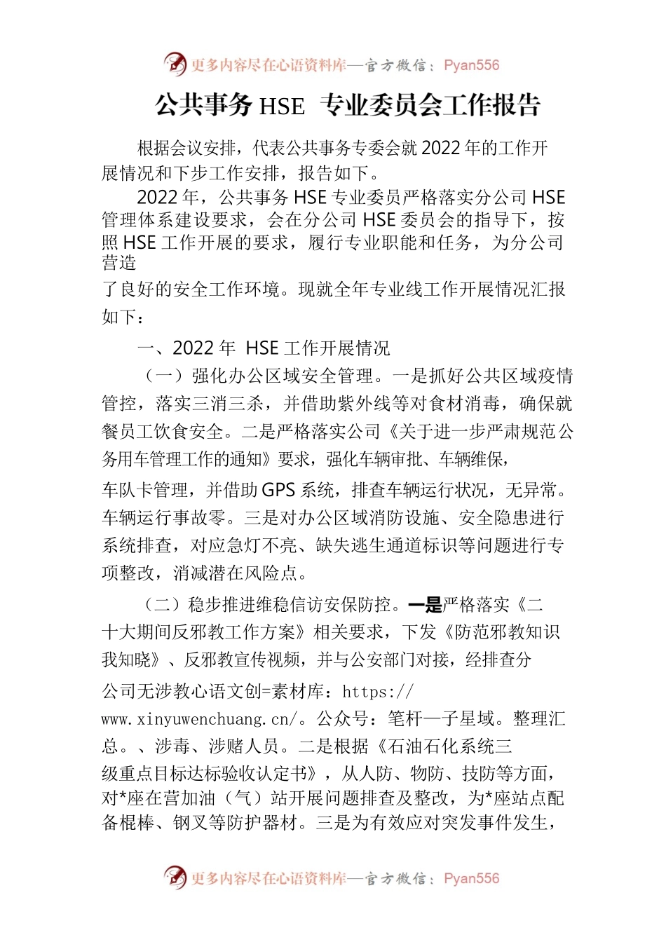 公共事务HSE专业委员会工作报告.docx_第1页