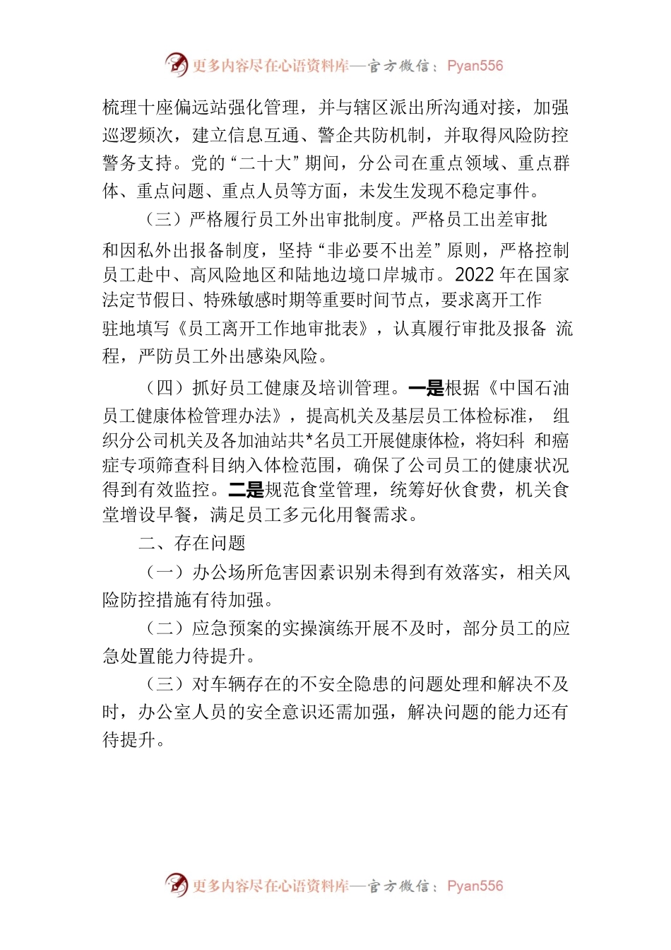 公共事务HSE专业委员会工作报告.docx_第2页