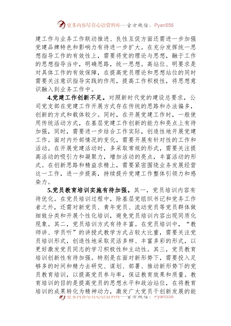 公司2023年基层党建问题清单.docx_第2页