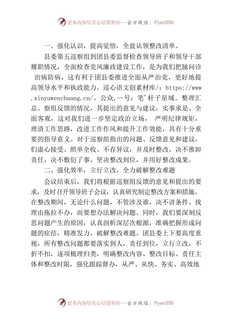共青团XX县委巡察反馈会表态发言.docx_第2页
