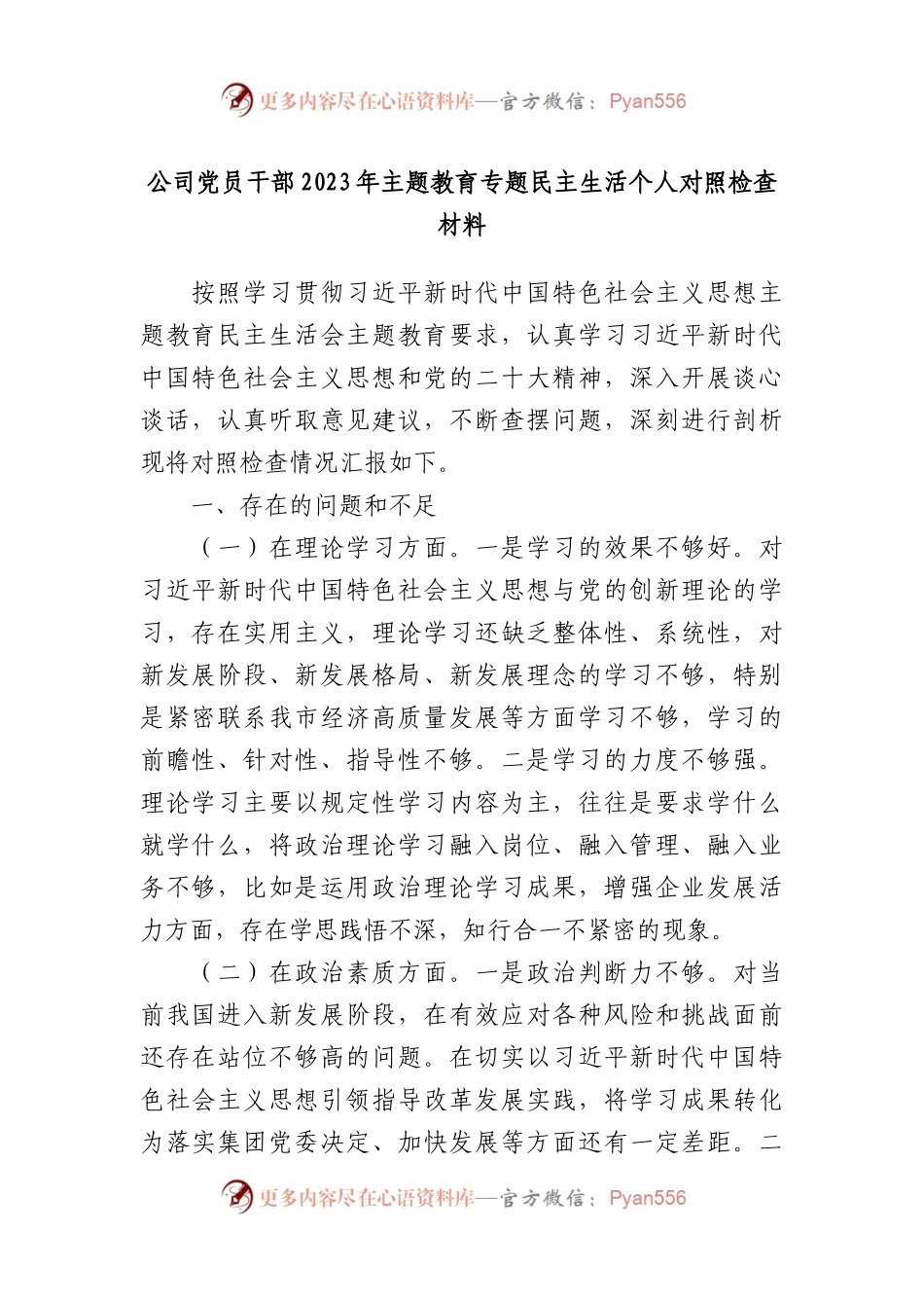 公司党员干部2023年主题教育专题民主生活个人对照检查材料.docx_第1页