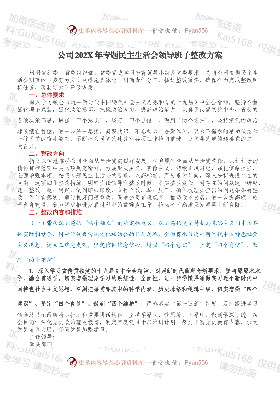 公司202X年专题民主生活会领导班子整改方案.docx_第1页