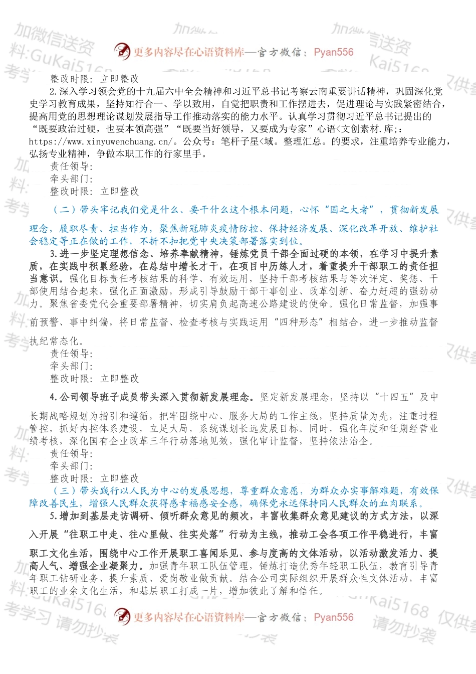 公司202X年专题民主生活会领导班子整改方案.docx_第2页