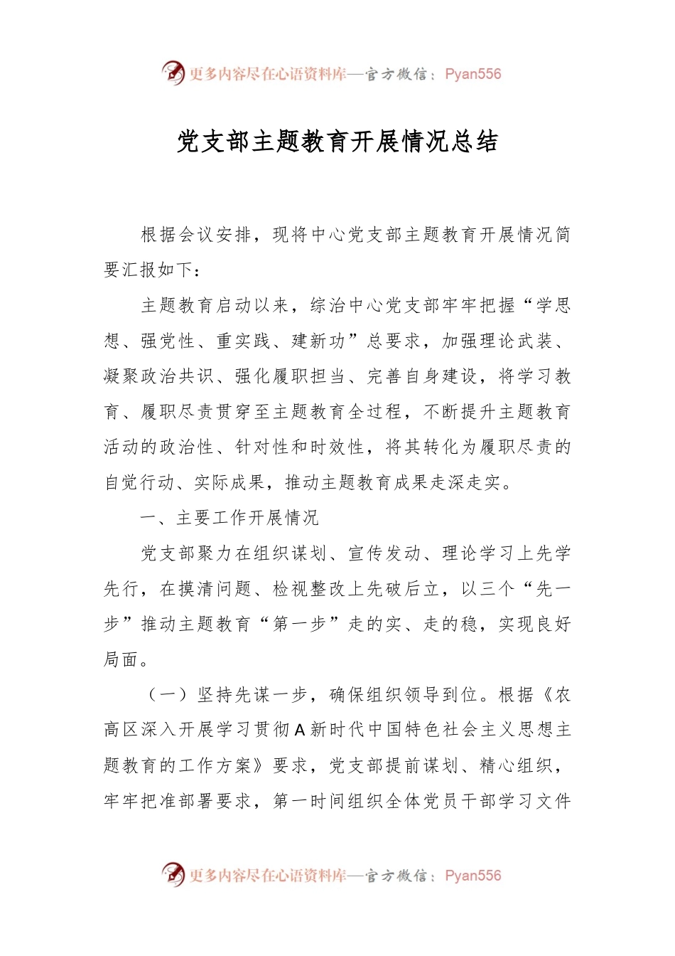 党支部主题教育开展情况总结.docx_第1页