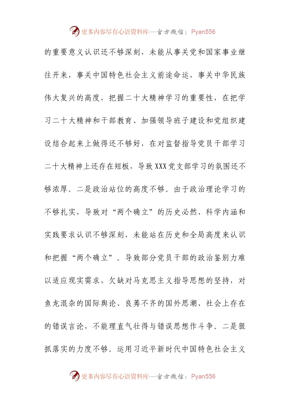 党支部xxxx年度组织生活会班子对照检查材料.docx_第2页