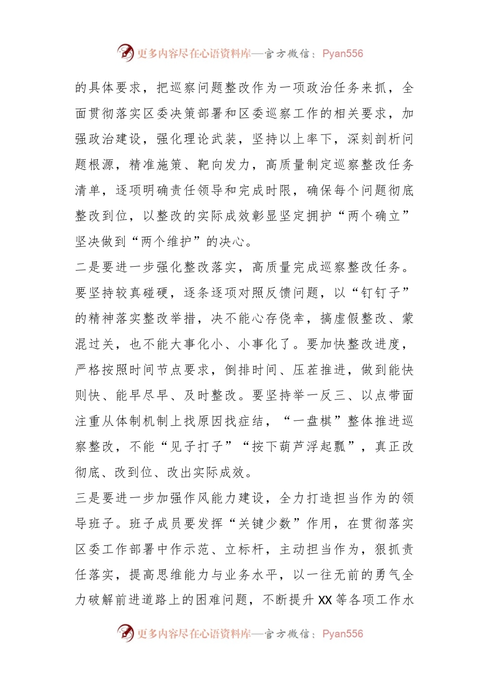 关于2023年 巡察整改专题民主生活会领导点评发言.docx_第2页