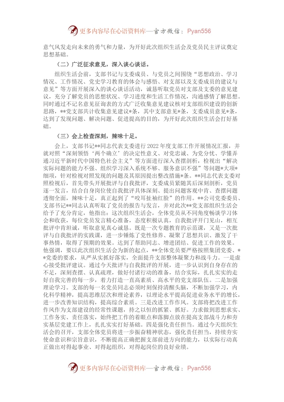 公司党支部关于2022年度组织生活会召开情况的报告.docx_第2页