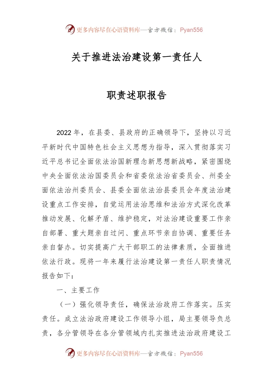 关于推进法治建设第一责任人职责述职报告.docx_第1页