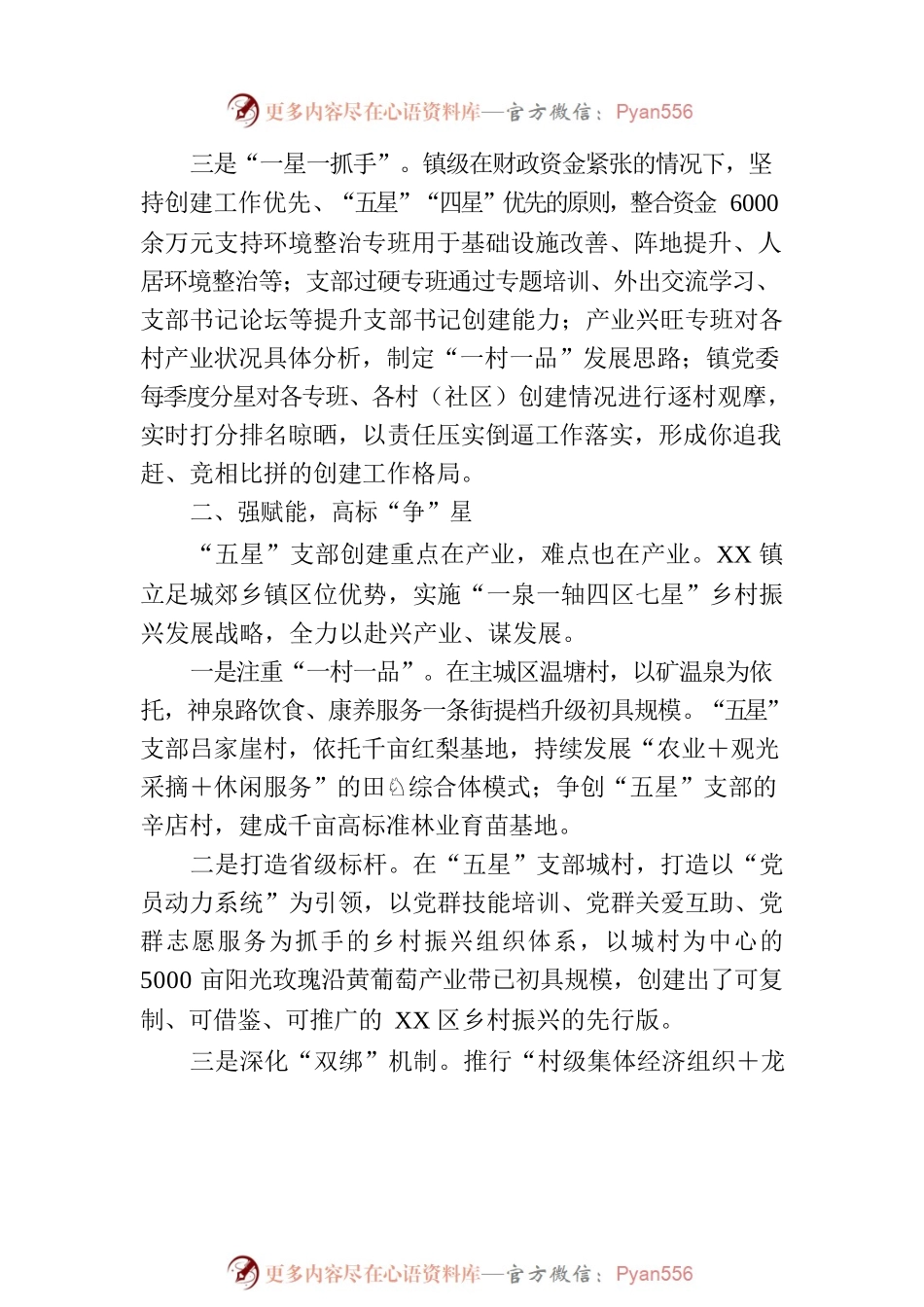 创建“五星”支部 赋能乡村振兴.docx_第2页
