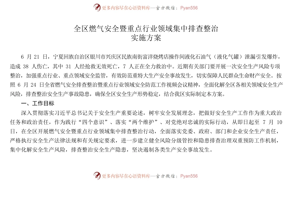 关于印发《全区燃气安全暨重点行业领域集中排查整治实施方案》的通知.docx_第2页