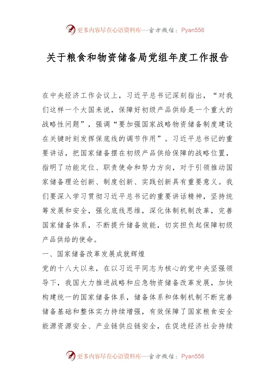 关于粮食和物资储备局党组年度工作报告.docx_第1页