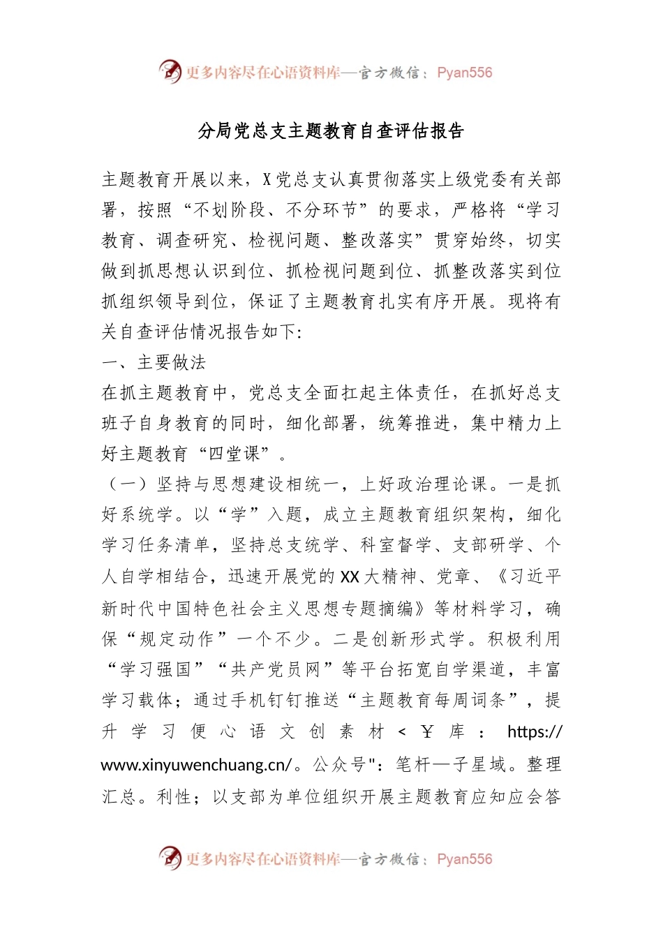 分局党总支主题教育自查评估报告.docx_第1页